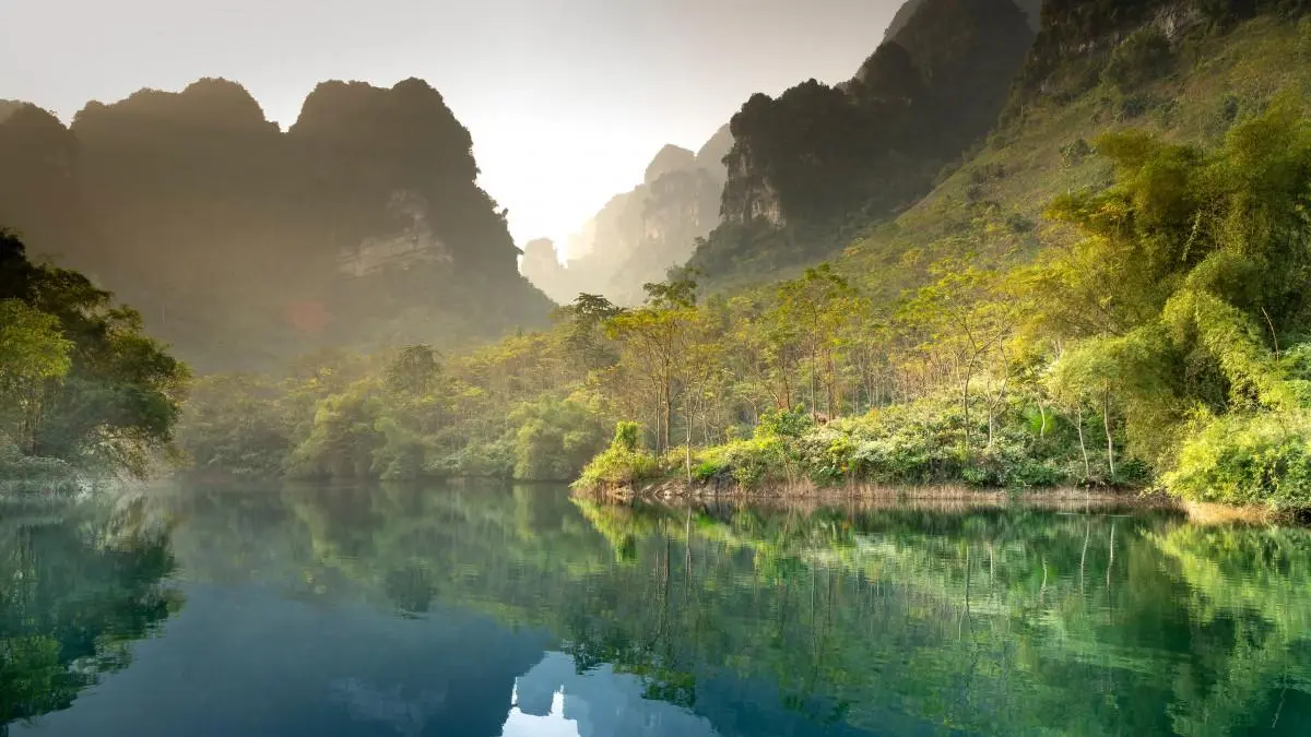 绿色环保高端